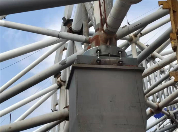 1634628969846184.jpg 5.jpg