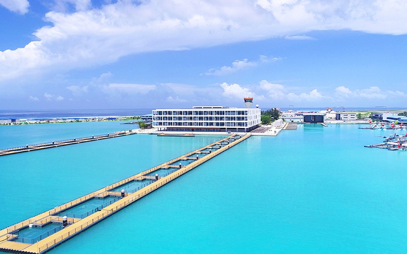 �������� 800.jpg