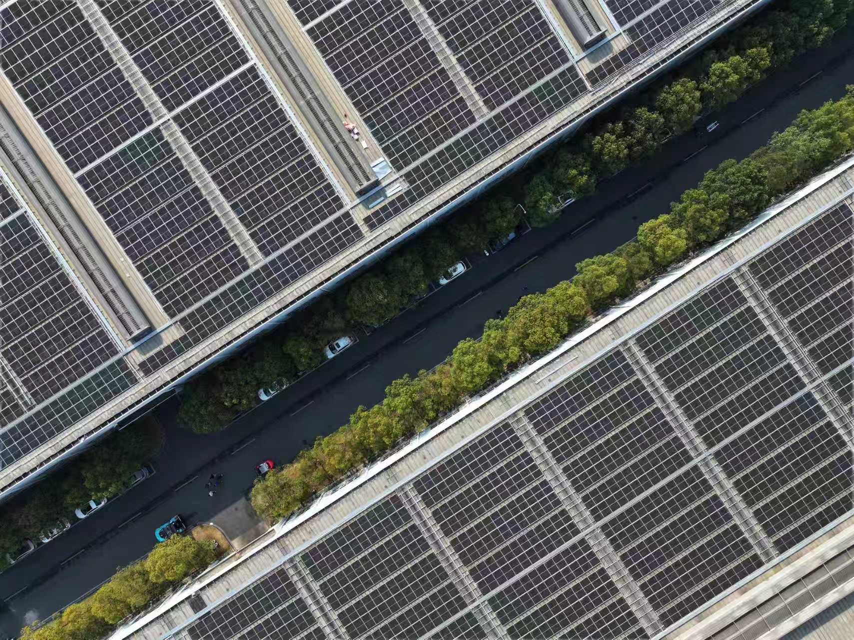 �Ƿ�����(�й���)-�ٷ���վ